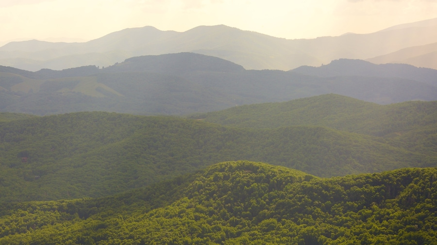 Grandfather Mountain showing mountains and forests