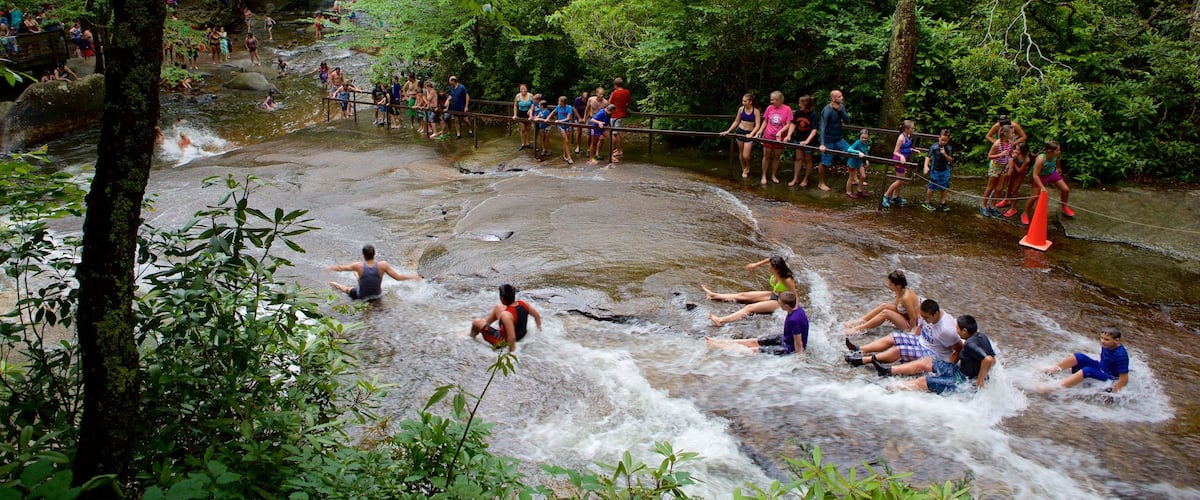 Pisgah Forest