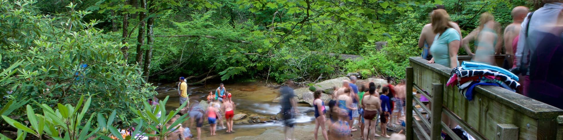 Sliding Rock ofreciendo bosques y un río o arroyo y también un gran grupo de personas
