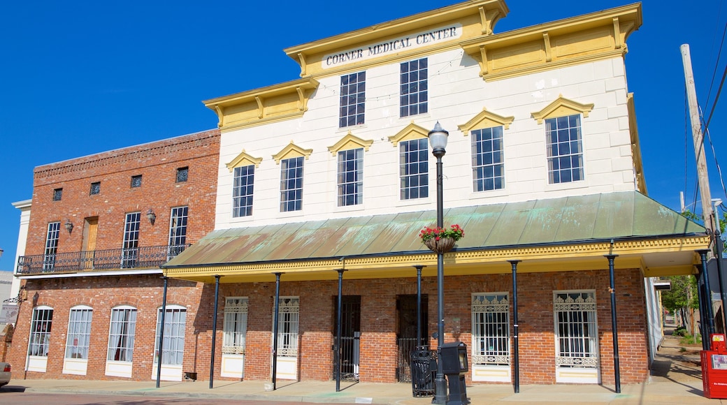 Vicksburg mostrando una pequeña ciudad o aldea