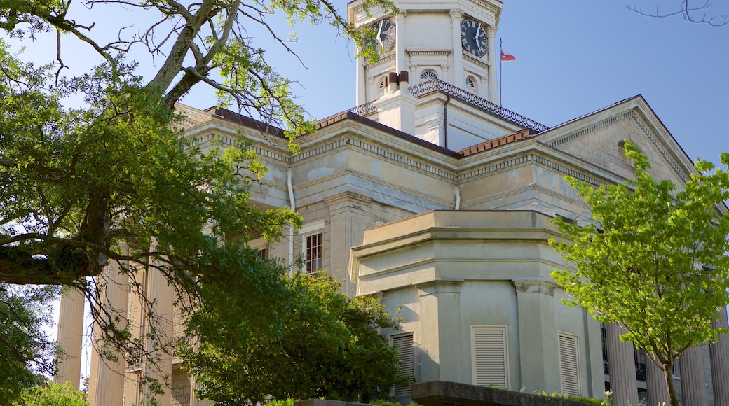 Warren County Courthouse showing heritage architecture