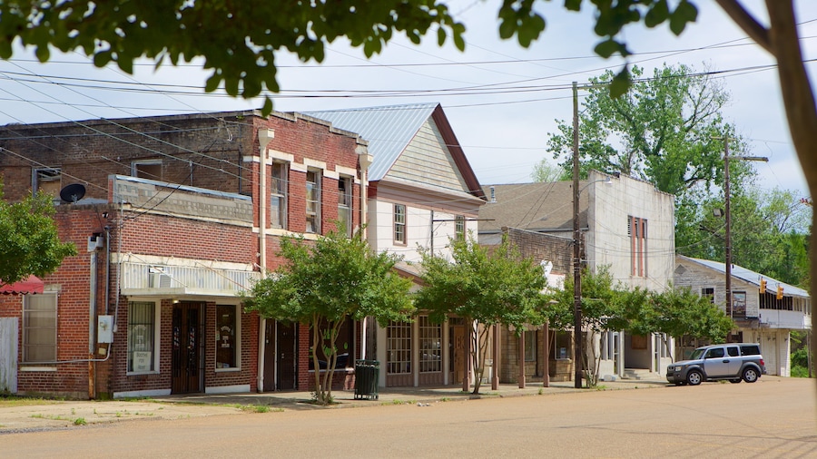 Port Gibson showing a small town or village