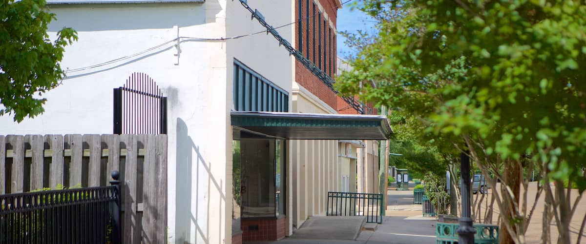 Port Gibson showing a small town or village