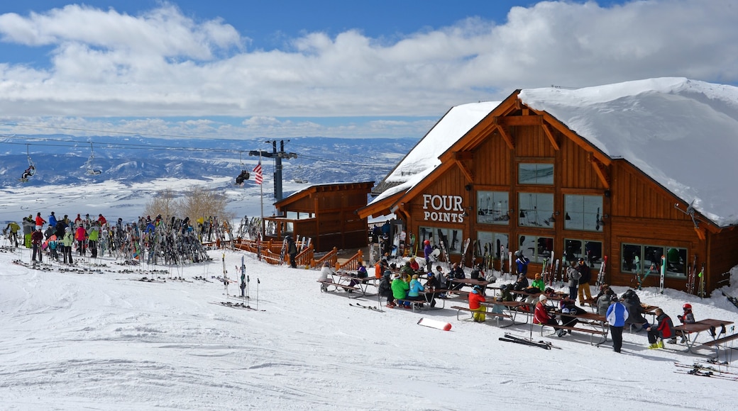 Steamboat Ski Resort Find Steamboat Springs Ski Resort Steamboat Ski Resort Find Steamboat Springs Ski Resort