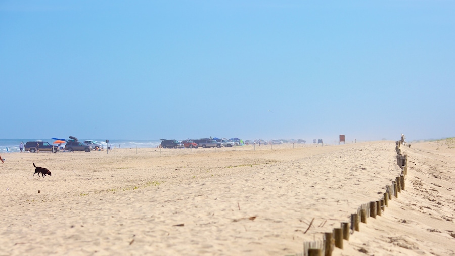 Assateague Island National Seashore which includes a beach and 4 wheel driving