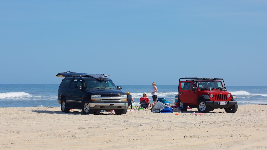 Assateague Island National Seashore