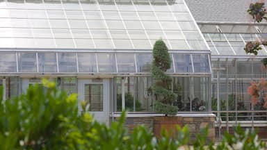 North Carolina Arboretum featuring a park
