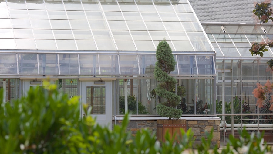 North Carolina Arboretum featuring a park