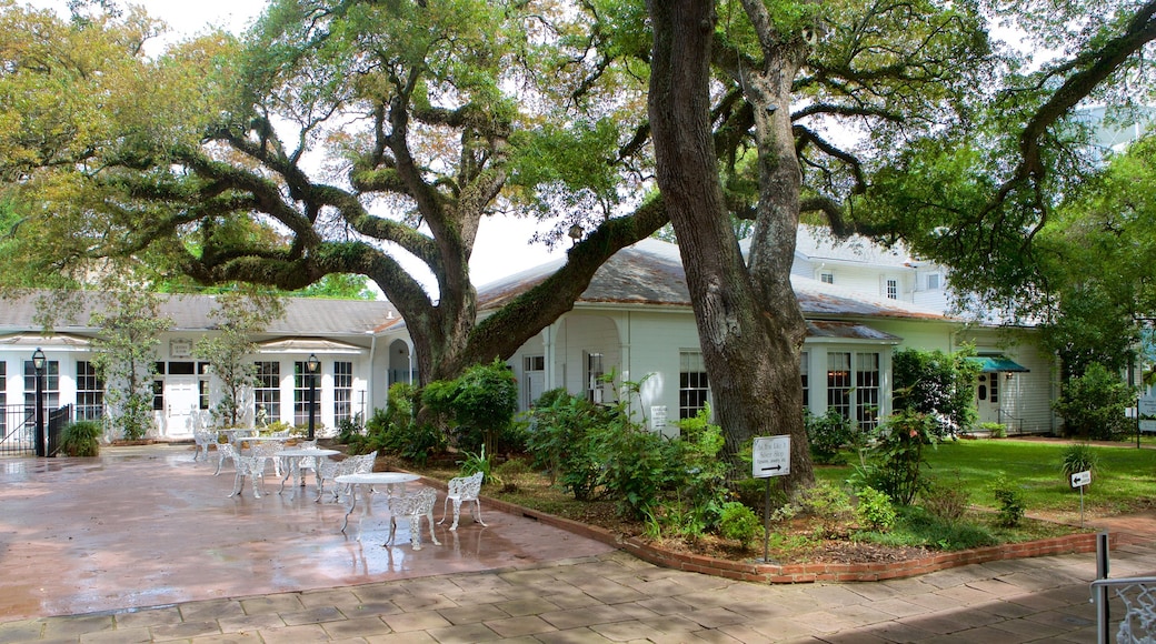 Stanton Hall showing an administrative buidling and heritage elements