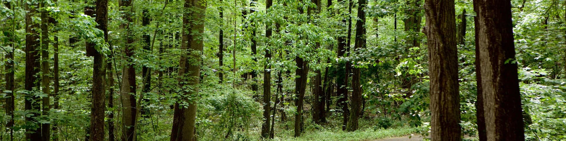 Maryland Quiet Waters Park which includes a garden