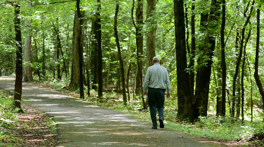 Maryland Quiet Waters Park que inclui um jardim assim como um homem sozinho