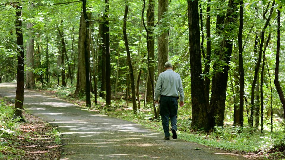 Maryland Quiet Waters Park featuring a park as well as an individual male