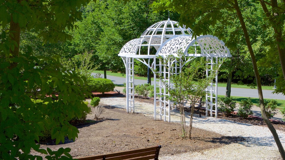 Maryland Quiet Waters Park which includes a garden