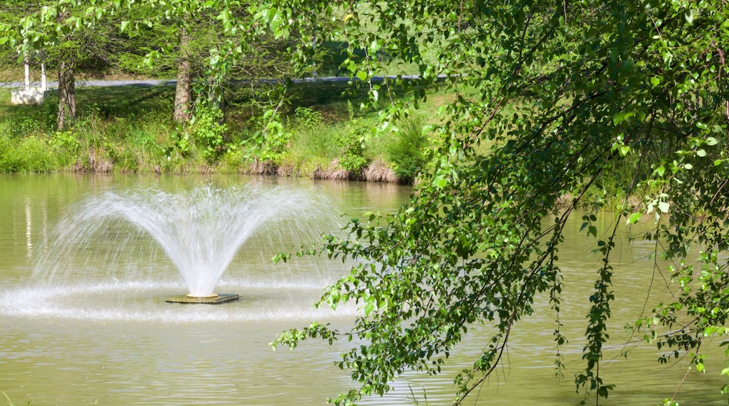 Maryland Quiet Waters Park featuring a garden and a fountain