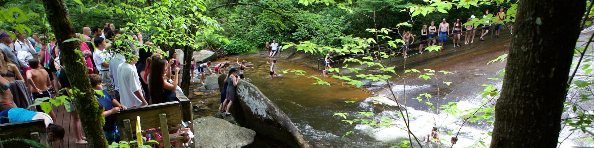 Sliding Rock which includes a river or creek and forests as well as a large group of people