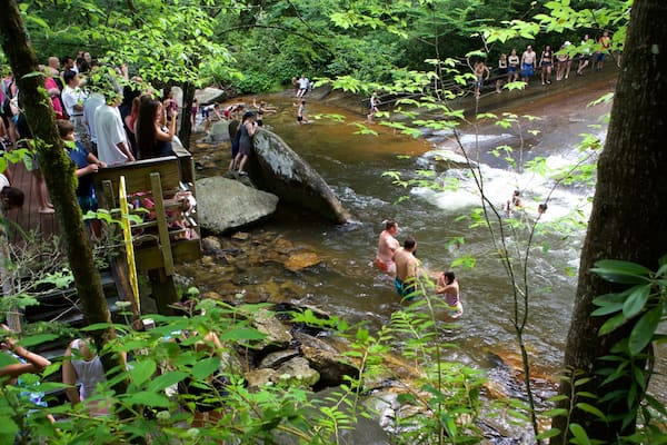 Sliding Rock montrant rivière ou ruisseau et scènes forestières aussi bien que important groupe de personnes