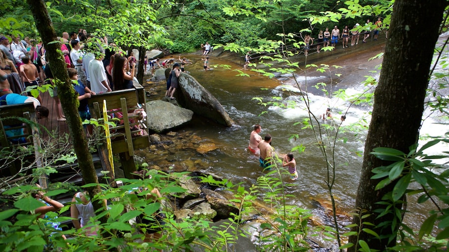 Sliding Rock which includes forests and a river or creek as well as a large group of people
