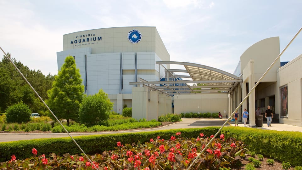 Virginia Aquarium and Marine Science Center das einen Meeresbewohner, moderne Architektur und Park