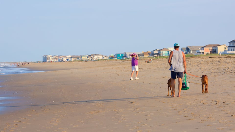 Sandbridge Beach mit einem Sandstrand und Wandern oder Spazieren sowie einzelner Mann