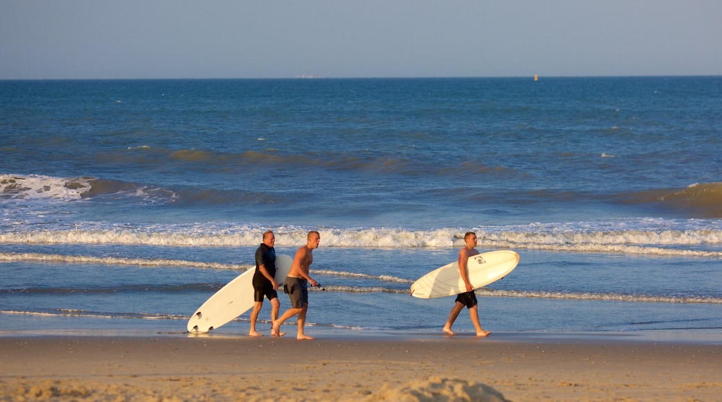Sandbridge Beach featuring a beach and surfing as well as a small group of people