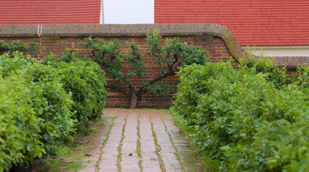 Mount Vernon mostrando giardino