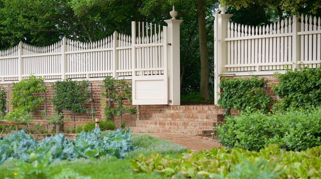 George Washington\'s Mount Vernon ofreciendo un jardín