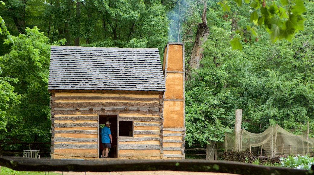 George Washington\'s Mount Vernon showing a garden