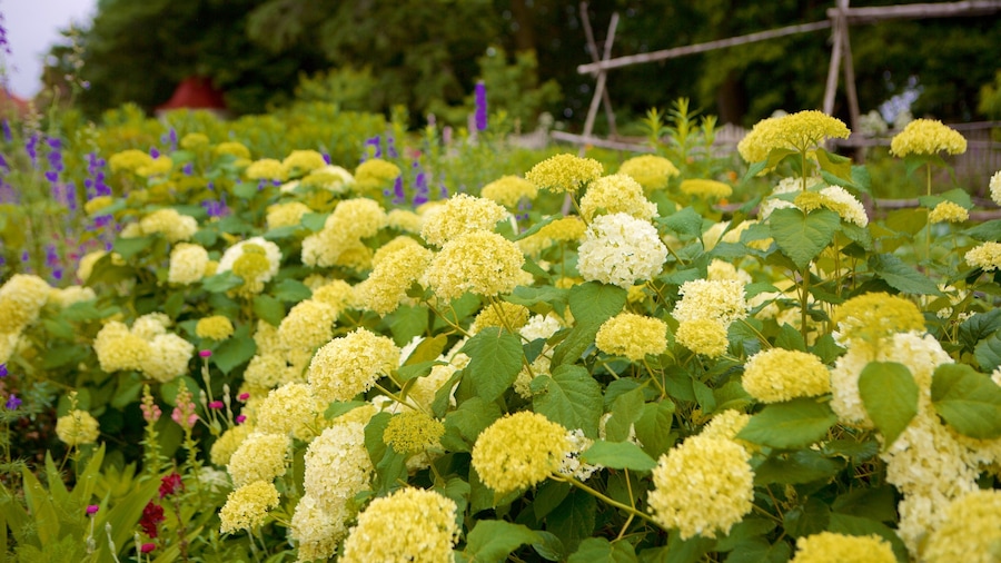 George Washington\'s Mount Vernon showing flowers