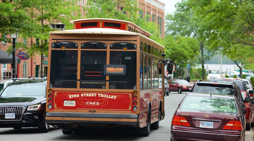 Alexandria showing street scenes and vehicle touring