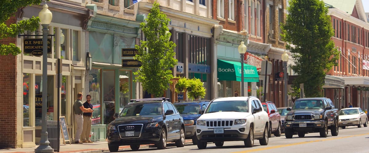 Roanoke showing street scenes and heritage elements