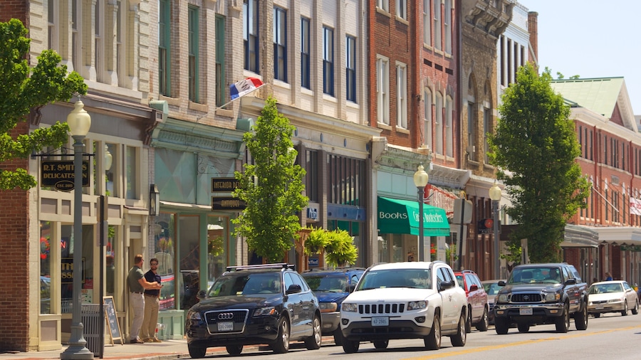 Roanoke ofreciendo escenas urbanas y elementos del patrimonio