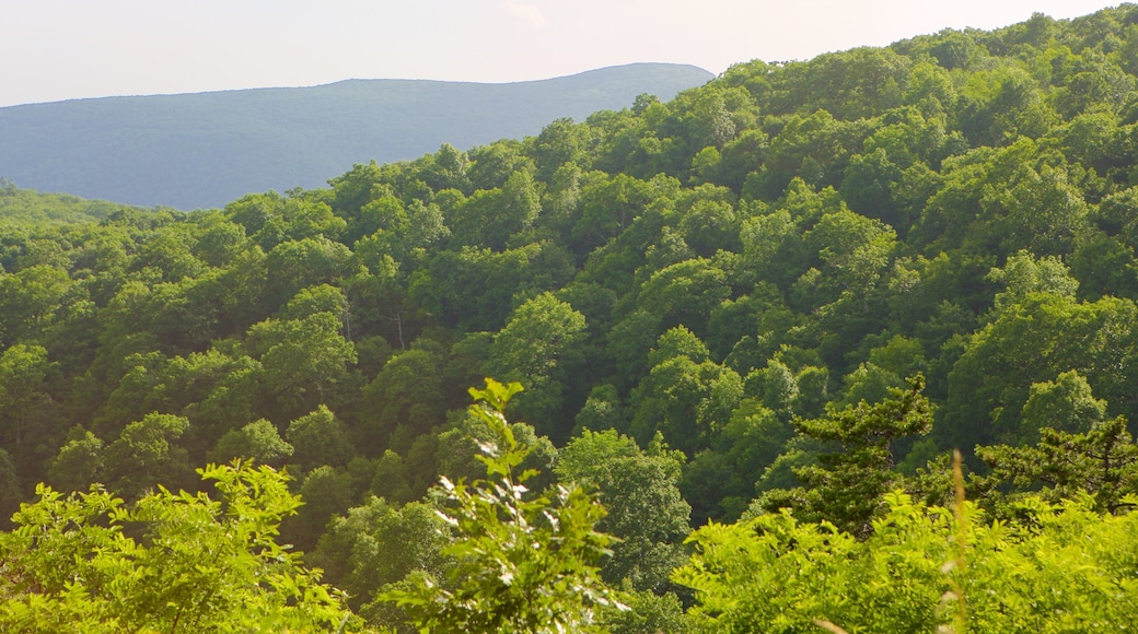 Parque Nacional Shenandoah que incluye montañas y escenas tranquilas