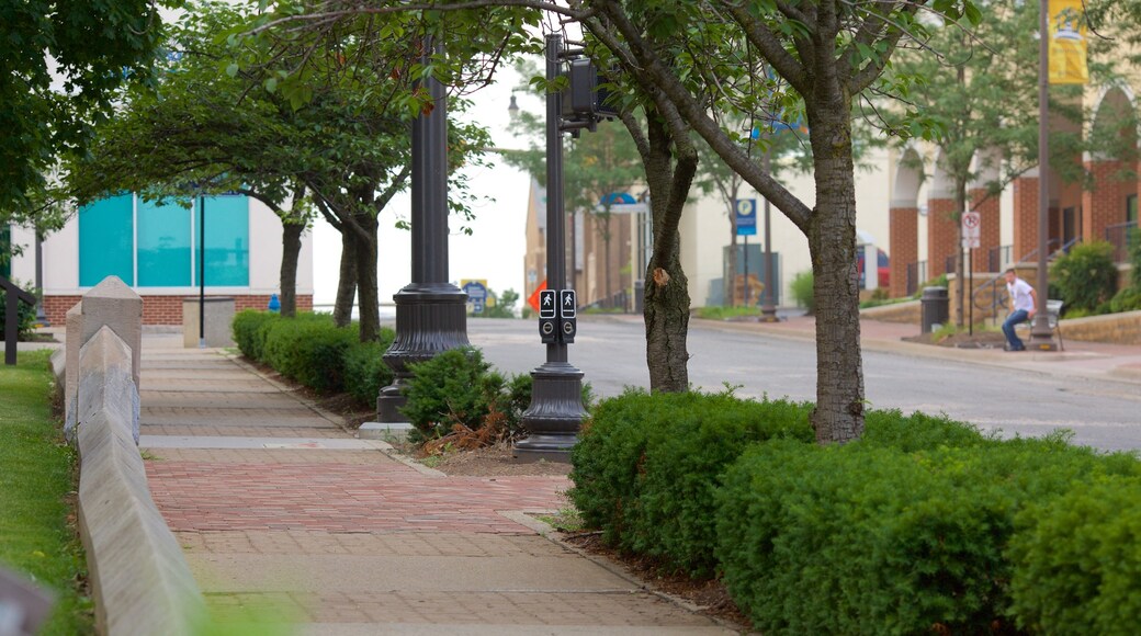 Harrisonburg showing a garden and street scenes