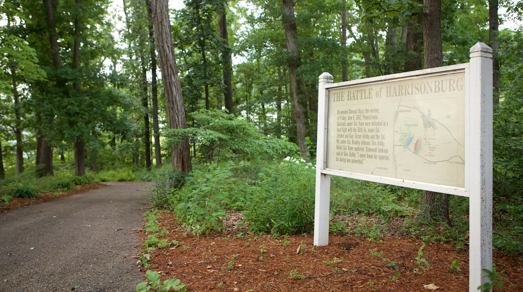 Harrisonburg showing a garden and signage