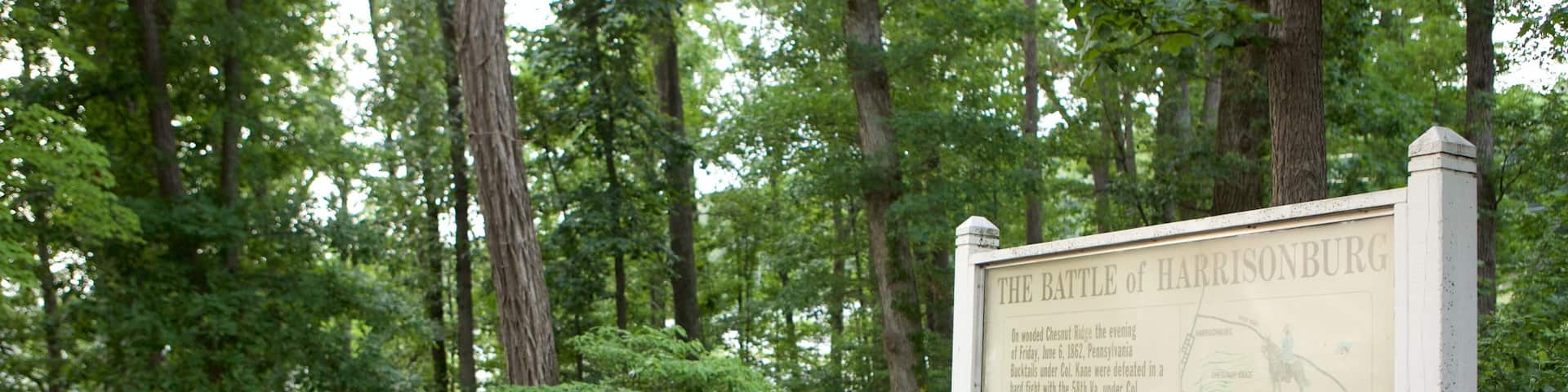 Harrisonburg das einen Beschilderung und Garten