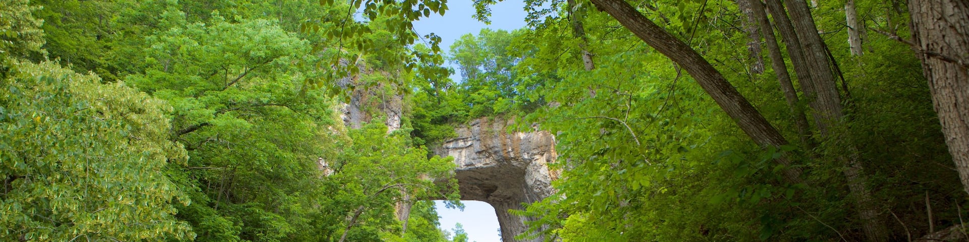 Natural Bridge Virginia mit einem Brücke und Garten