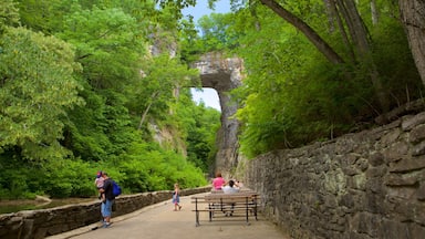 Natural Bridge Virginia som omfatter en bro og en have