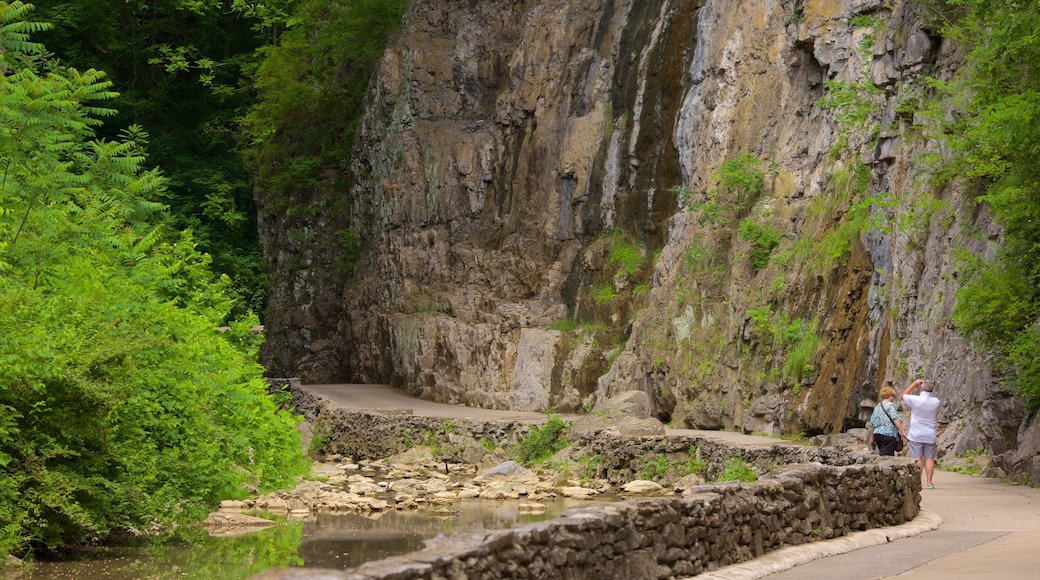 Natural Bridge Virginia which includes a garden and a river or creek