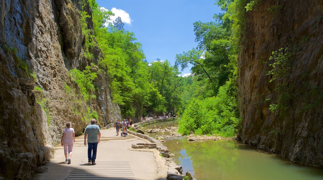 Natural Bridge Virginia showing a river or creek and a garden