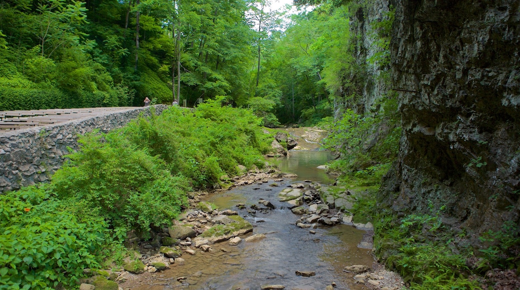 Natural Bridge Virginia featuring a river or creek and a park