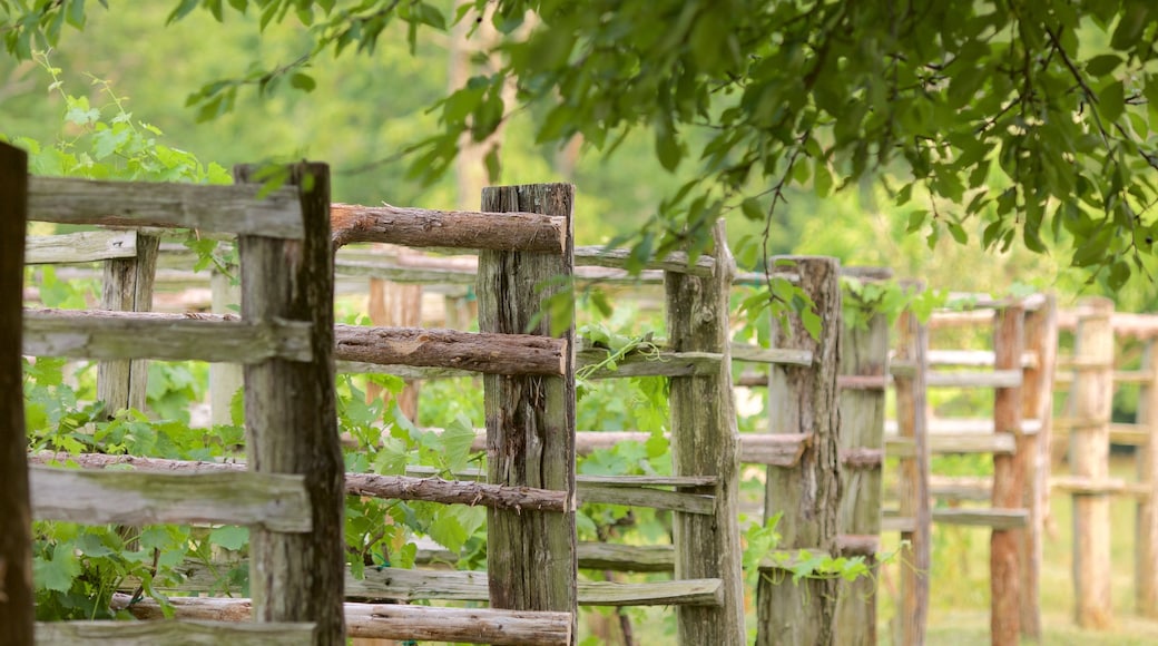 Monticello que incluye un jardín