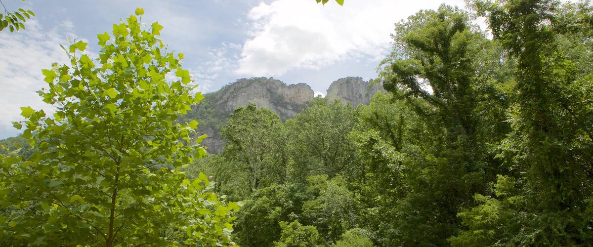Seneca Rocks showing a park