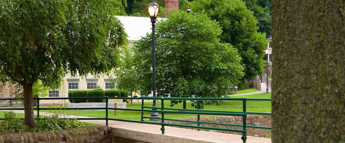 Berkeley Springs State Park featuring a bridge and a park