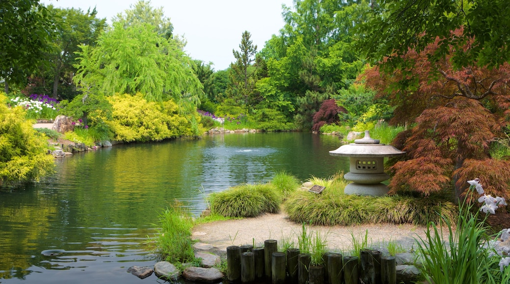 Lewis Ginter Botaniske Have som viser en dam og en park
