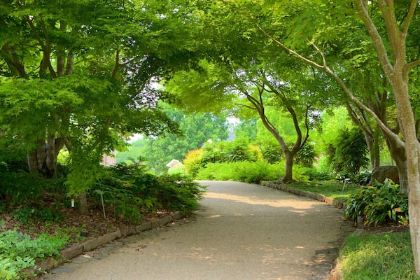 Lewis Ginter Botanical Garden das einen Garten