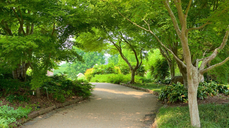 Vườn Bách thảo Lewis Ginter có tính năng khu vườn