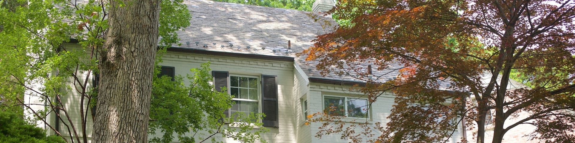 Barnaby Woods showing a house and a garden