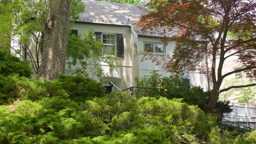 Barnaby Woods featuring a house and a park