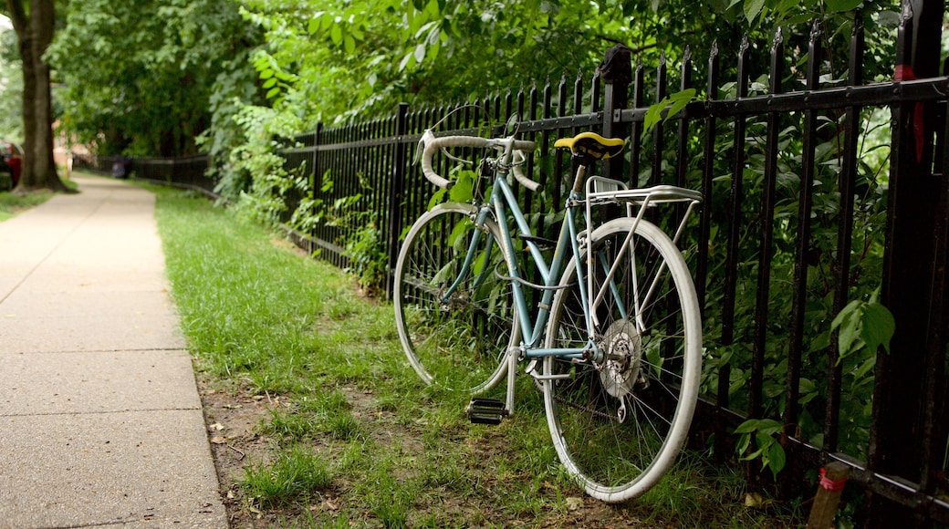 Cleveland Park das einen Garten und Fahrradfahren