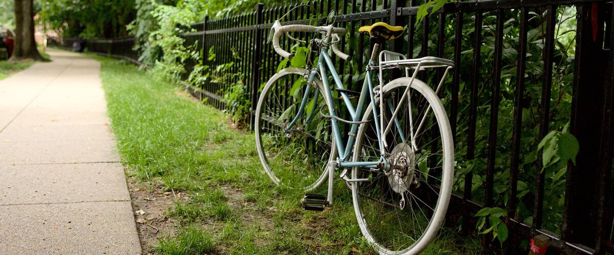 Cleveland Park showing cycling and a garden